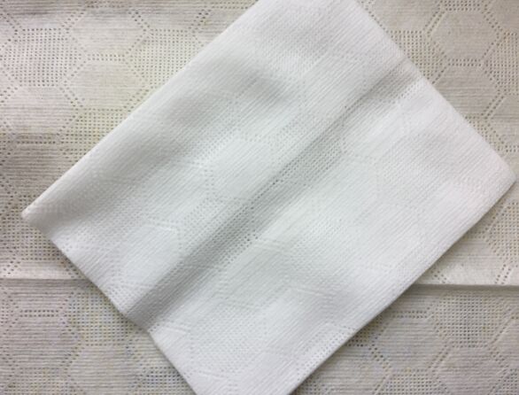 Manufacturer of Spunlace Nonwoven Fabric and Wiping cloths in China
